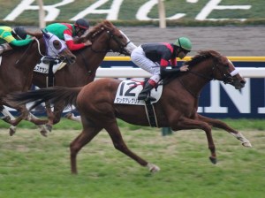 20141129_Tanta_Alegria