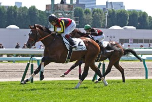 20141207_Porte_dAuteuil