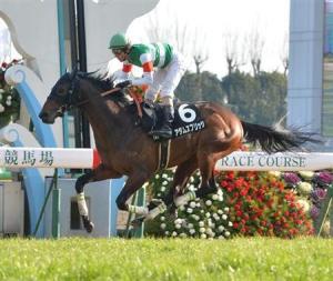 20150125_Adams_Bridge