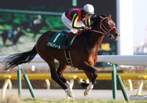 20150215_Real_Steel2