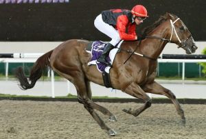 20150322_Slew_of_Lode