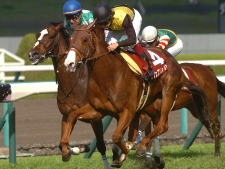 20150411_Cafe_Brillant