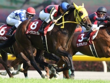 20150502_Reve_Mistral