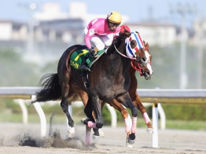 20150505_Wonder_Acute