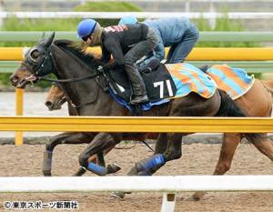 20150508_Alma_Waitori