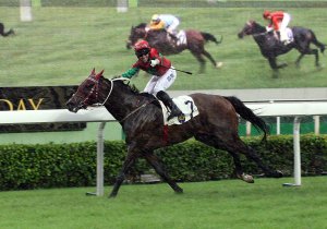 20150509_Helene_Happy_Star