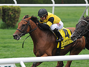 20150509_Twilight_Eclipse