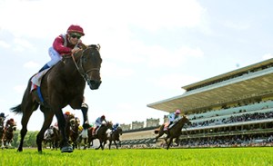 20150510_Make_Believe