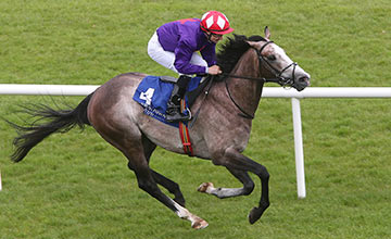 20150510_Success_Days