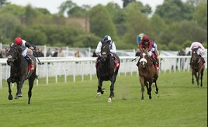 20150514_Golden_Horn