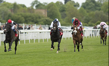 20150514_Golden_Horn