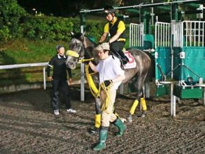 20150515_Meiner_Frost