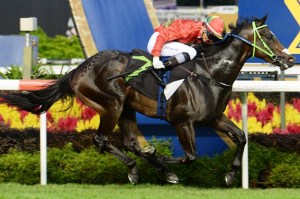 20150517_Happy_Money