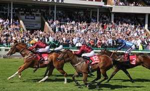 20150523_Pearl_Secret