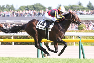 種馬希望大鳴大放突然離世