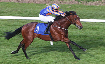 20150506_Hans_Holbein