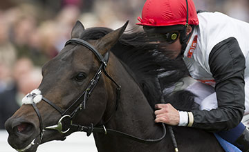 20150606_Golden_Horn