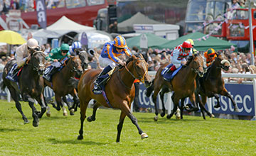 20150606_Stravagante