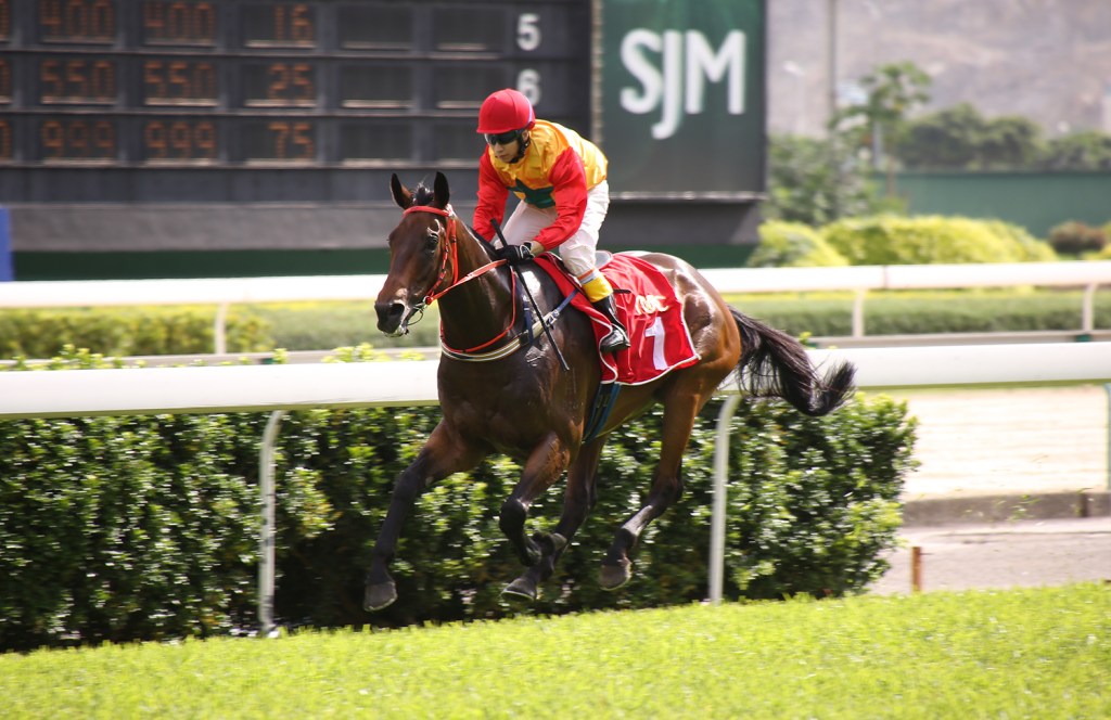 20150606_Wonder_Mossman