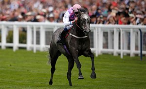 20150617_AmazingMaria