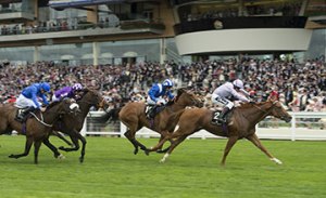 20150617_Dutch_Connection