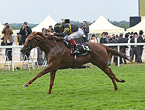 「急就章」去年在七月盃跑第四，終於在此有交待。 Source: Mathea Kelley/bloodhorse.com