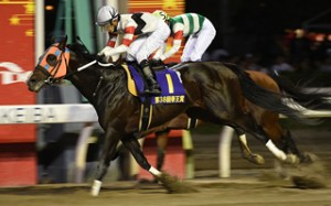 20150624_Hokko_Tarumae