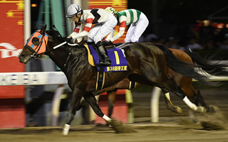 20150624_Hokko_Tarumae