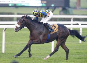 20141019_Dylan_Mouth