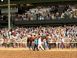 20150627_American_Pharaoh