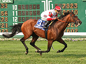 20150705_Big_Blue_Kitten