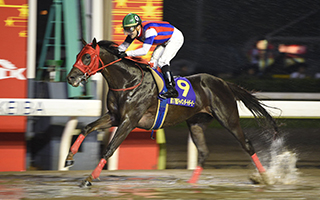 20150708_Nonkono_Yume