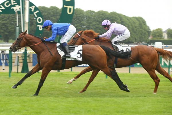 20150712_Territories