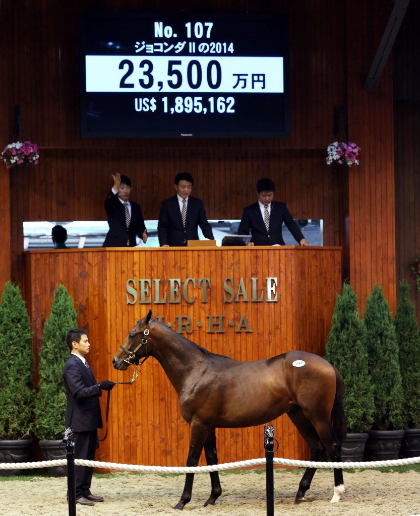 20150713_Jioconda_2014