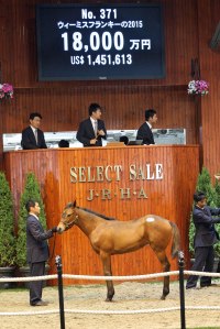 20150714_Weemissfranike_2015