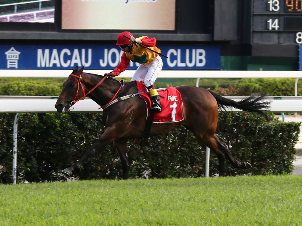 20150718_Wonder_Mossman