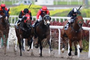 20150726_Super Winner