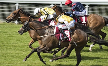 Source: racingpost.com