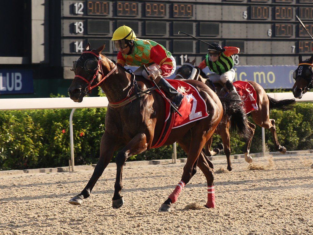 [Flameracing]夏季錦標，回沙地過健康人生