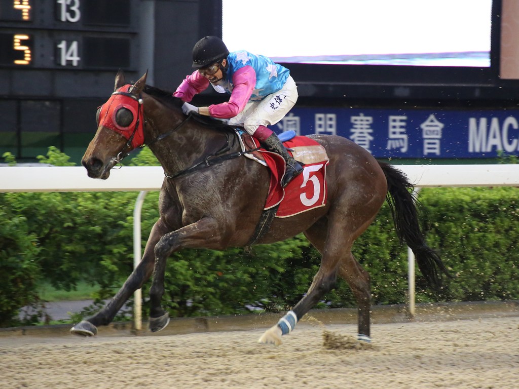 20150815_Pak_Lok_Angel