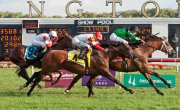 Source: racingpost.com