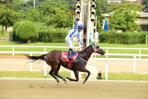 20150830_Chongang_Schiller