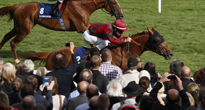 20150906_Prince_Gibraltar