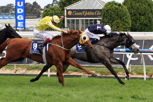 20150912_Fawkner
