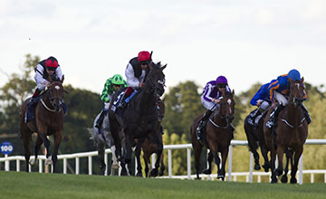 20150912_Golden_Horn