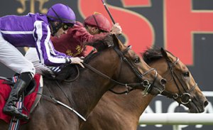 20150912_Simple_Verse