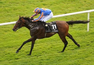 20150913_Order_of_St_George