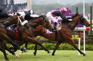 20150920_Emperor_Max