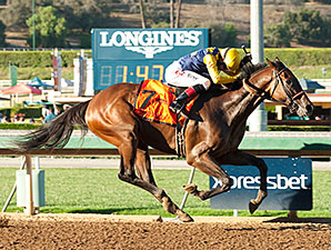 20150926_Smooth_Roller