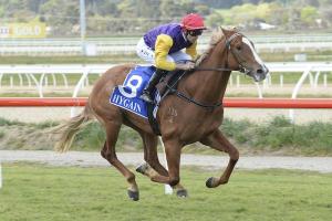 20150923_Lizard_Island